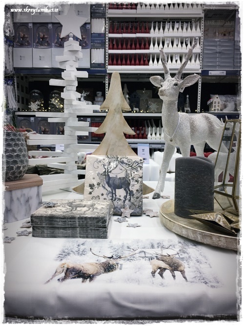 53-www-skreytumhus-is-56-002