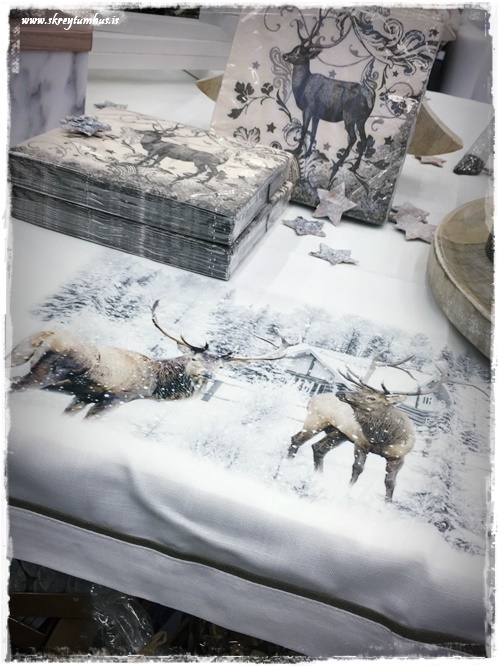 56-www-skreytumhus-is-09