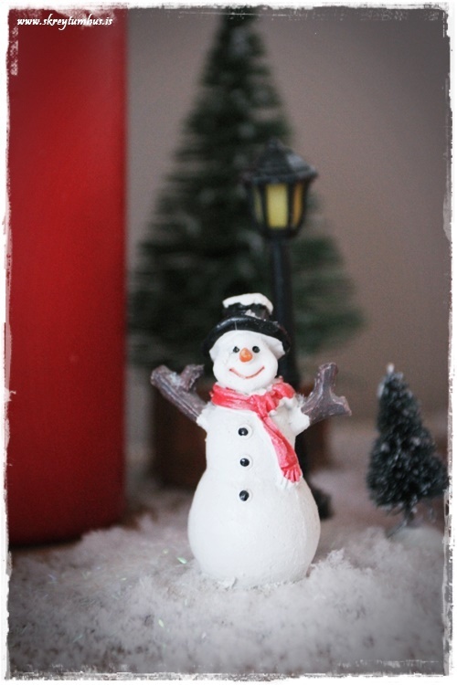 11-www-skreytumhus-is-060