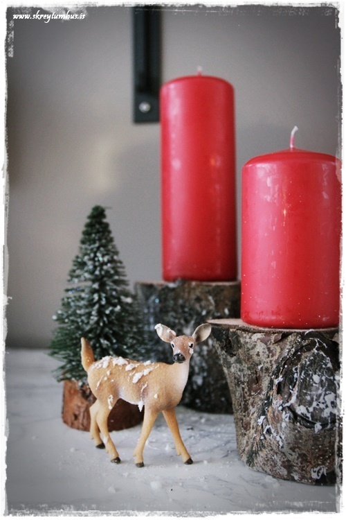 13-www-skreytumhus-is-062