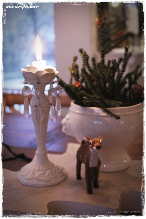 17-www-skreytumhus-is-016