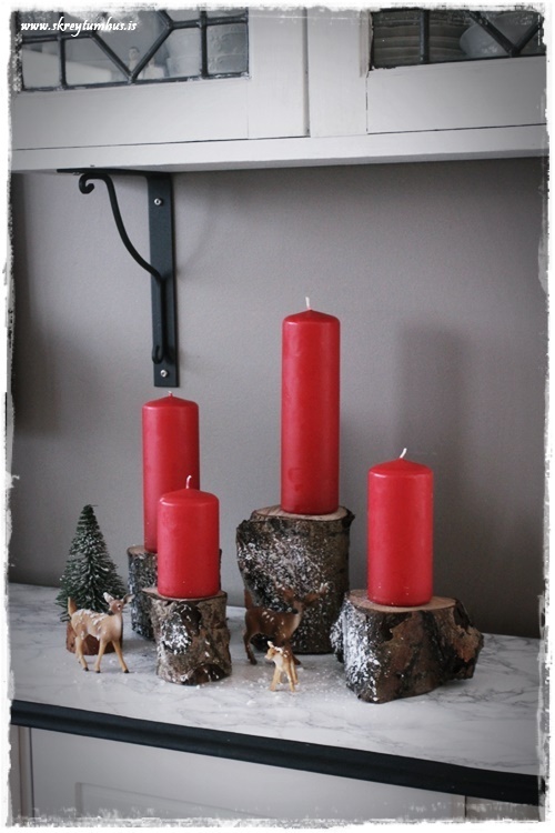 18-www-skreytumhus-is-067