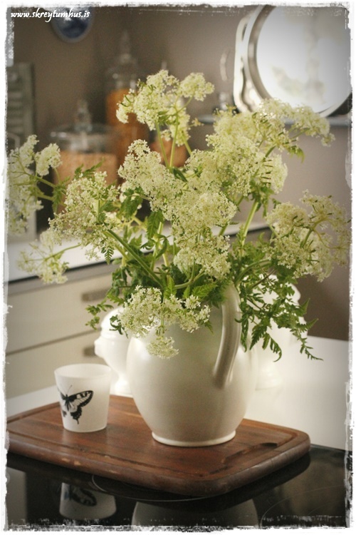 19-www-skreytumhus-is-002