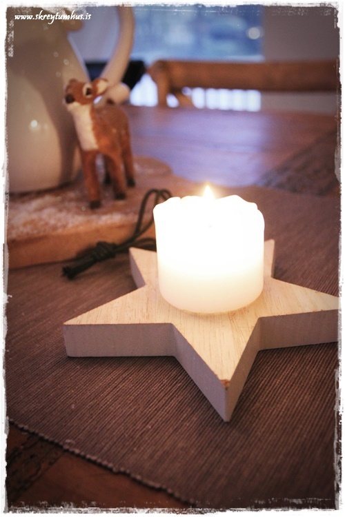 20-www-skreytumhus-is-019