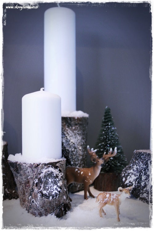 29-www-skreytumhus-is-001