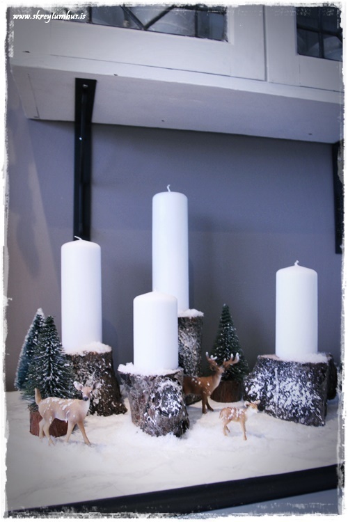 30-www-skreytumhus-is-002