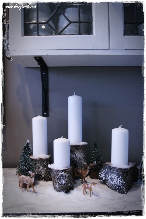 31-www-skreytumhus-is-003