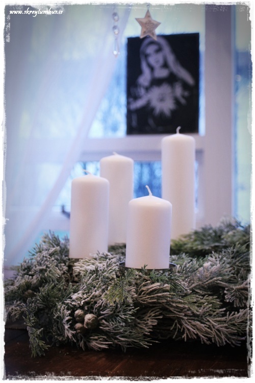 39-www-skreytumhus-is-078