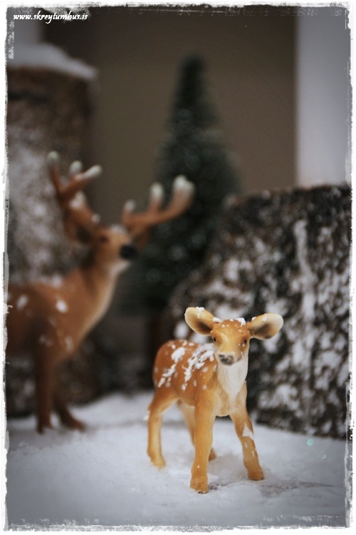 55-www-skreytumhus-is-088