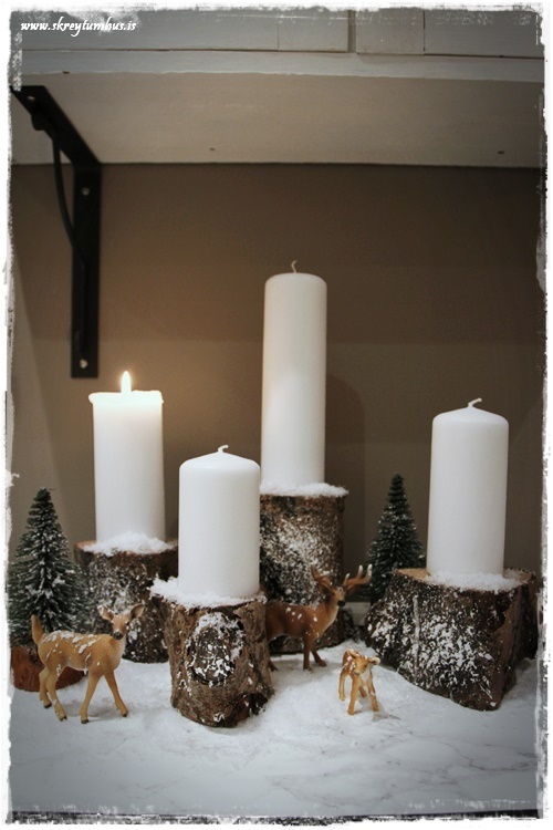 56-www-skreytumhus-is-089