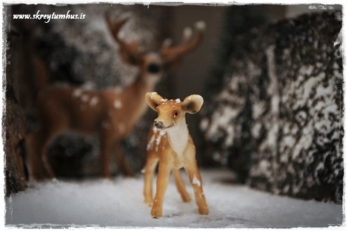 58-www-skreytumhus-is-091