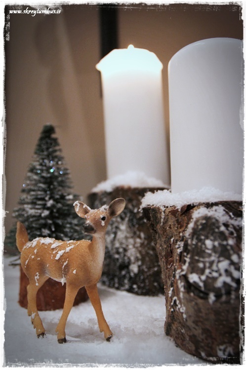 59-www-skreytumhus-is-092