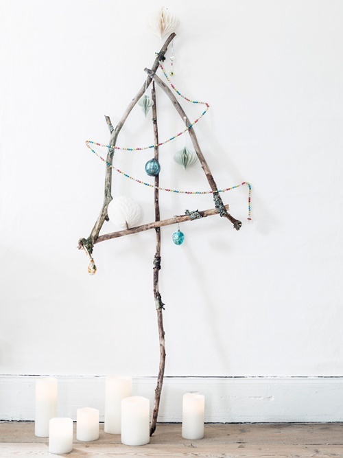 granarutanbarr1carinaolander