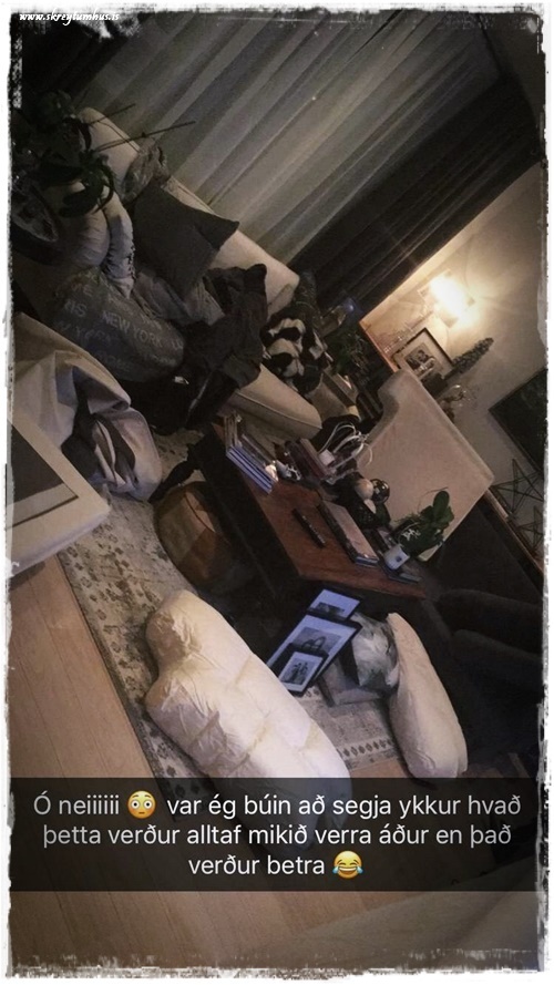 05-www-skreytumhus-is-026