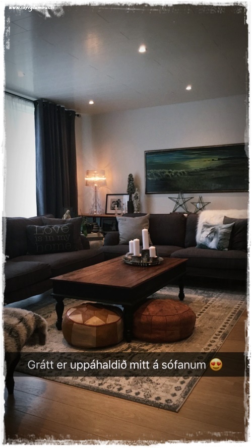 08-www-skreytumhus-is-029