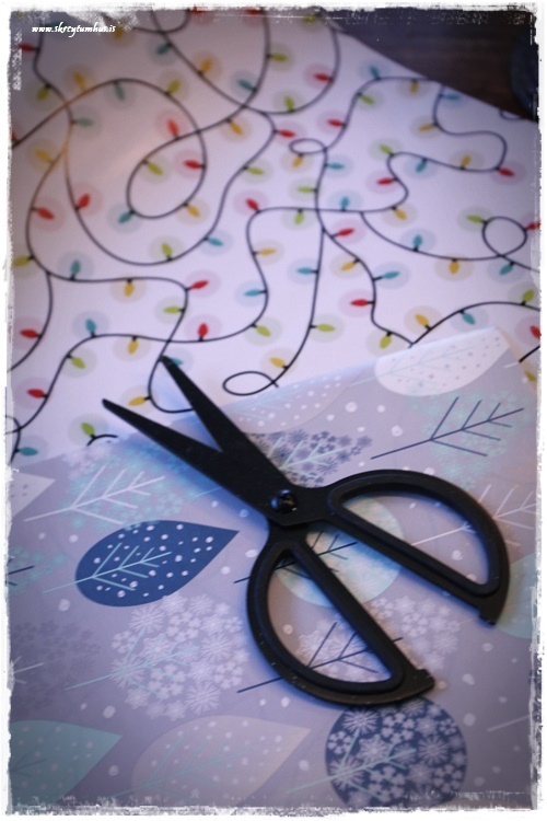 14-www-skreytumhus-is-013