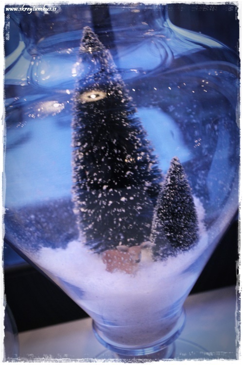 16-www-skreytumhus-is-015