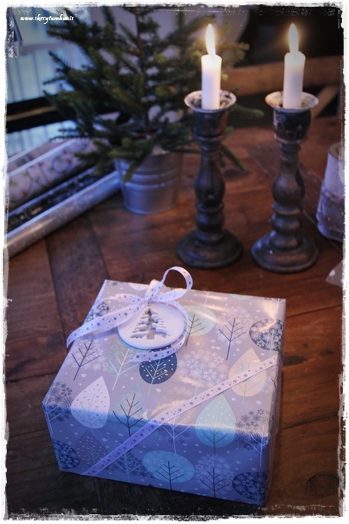 20-www-skreytumhus-is-019