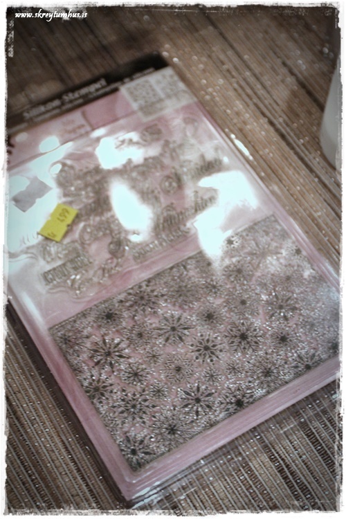 25-www-skreytumhus-is-024