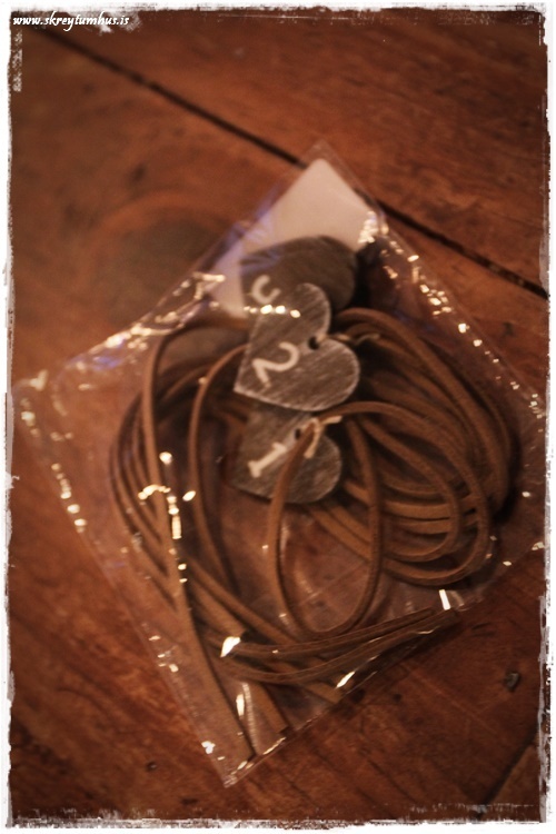 28-www-skreytumhus-is-027