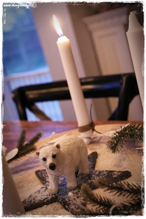 30-www-skreytumhus-is-029