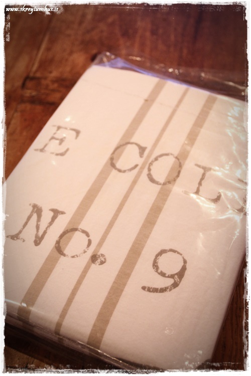 32-www-skreytumhus-is-031