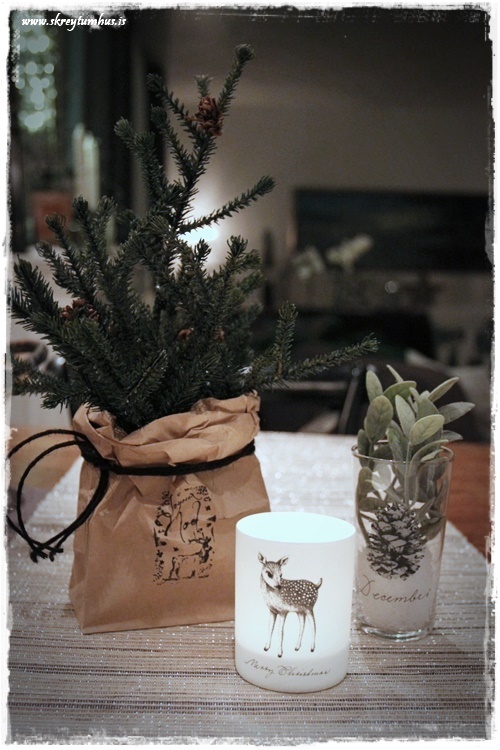 33-www-skreytumhus-is-032