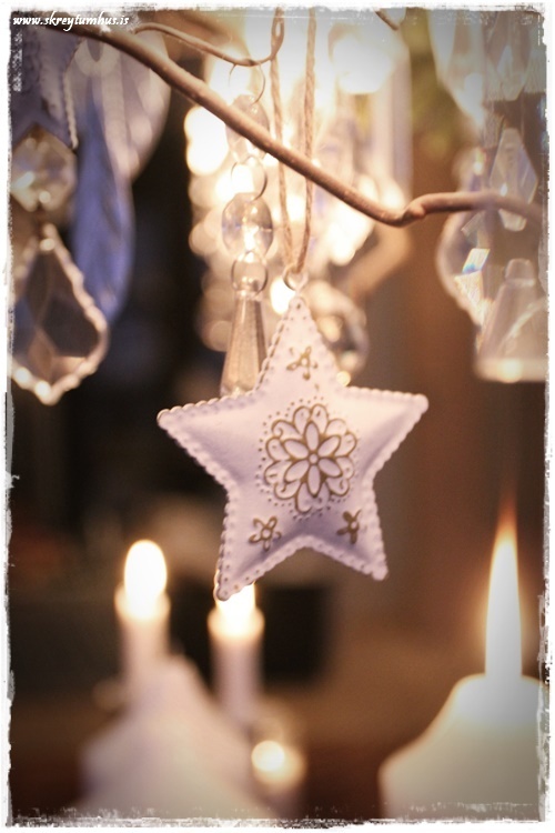 40-www-skreytumhus-is-039