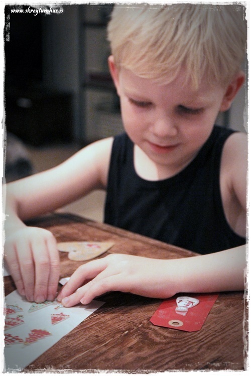 42-www-skreytumhus-is-041