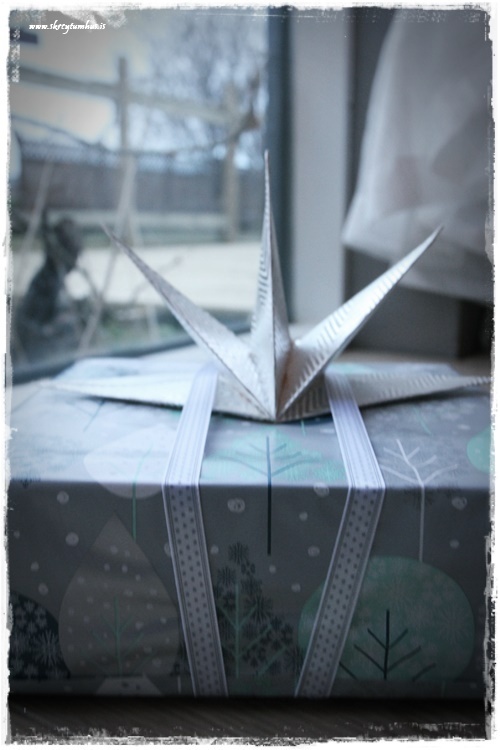 47-www-skreytumhus-is-046