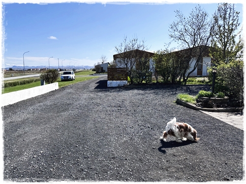 This image has an empty alt attribute; its file name is www.skreytumhus.is2023-05-27-13.30.552.jpg