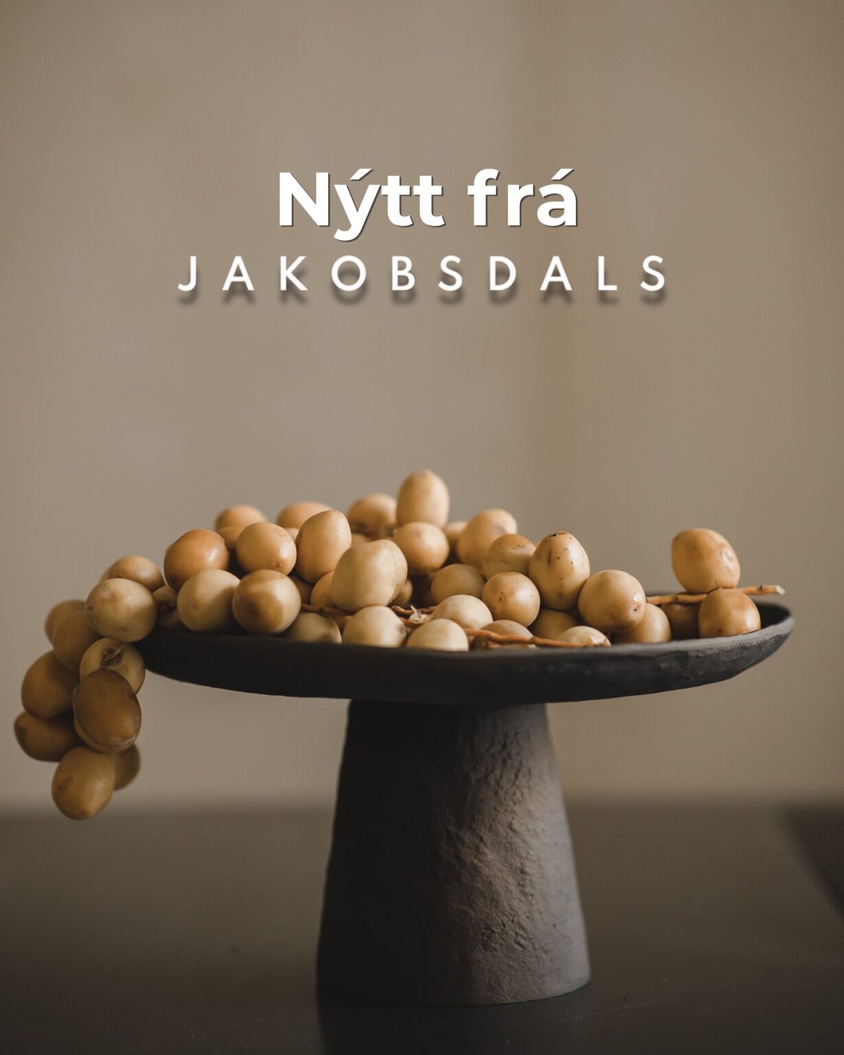 Jacobsdal… – Skreytumhús.is